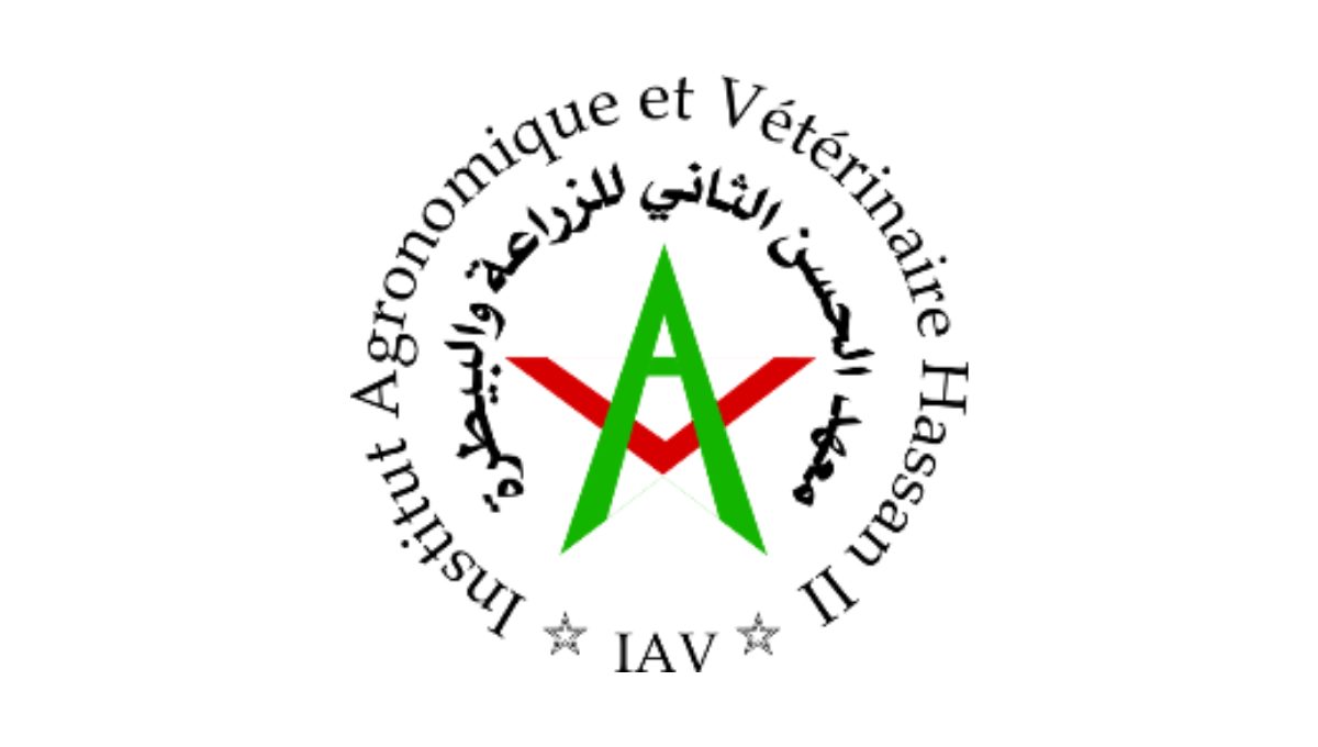 Résultats Présélection Master SGGF à l'IAV Hassan II 20212022