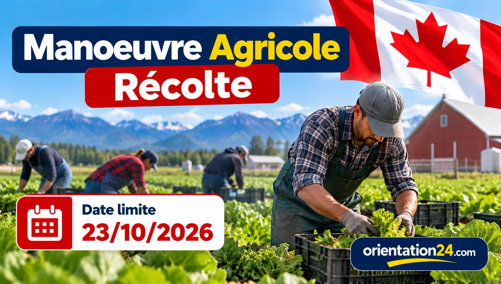 Emploi au Canada pour étrangers : Manoeuvre agricole à 20,25 $/heure